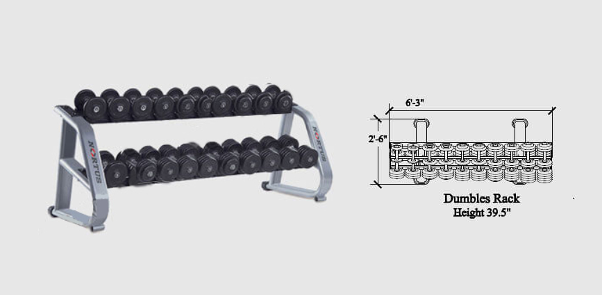 Gym Dumbbell In Papum Pare